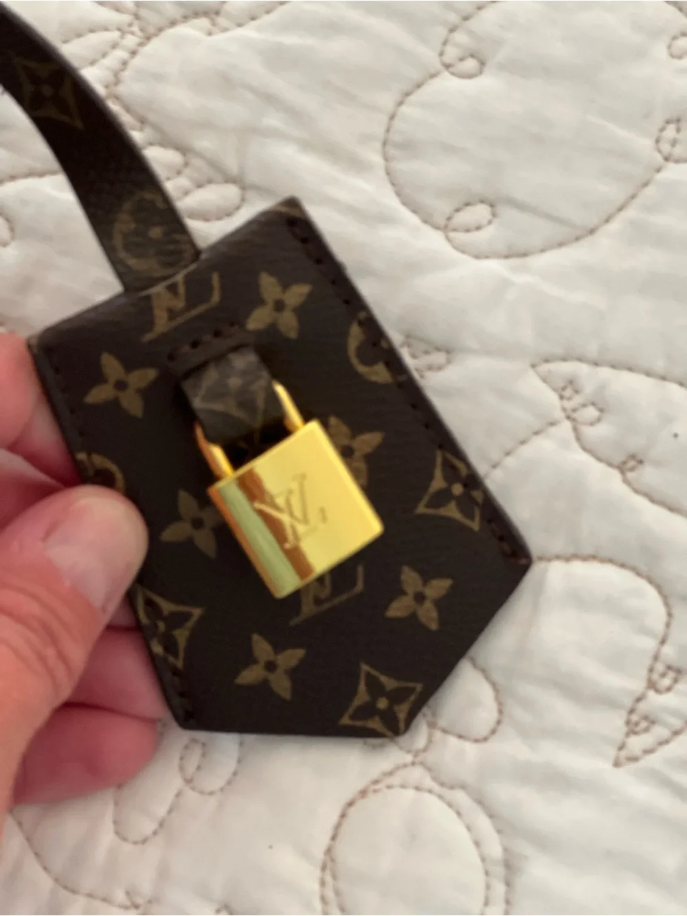 Louis Vuitton Express MM